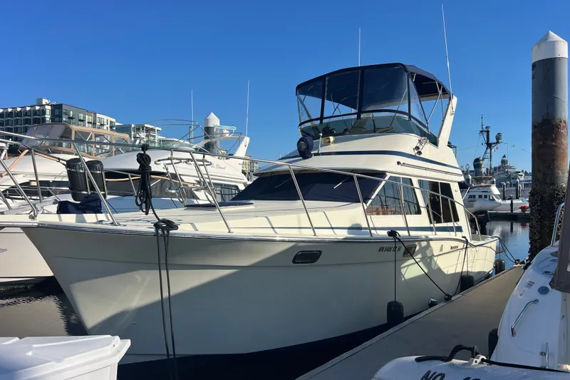 The Image of 1989 Tollycraft 34 Sport Sedan yacht docked at marina under clear blue sky. - 0
