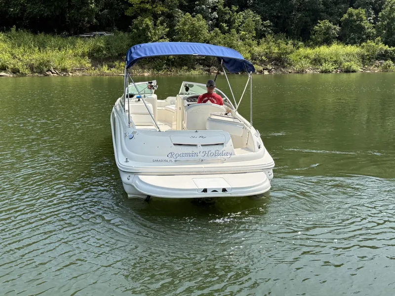 Slide: The Image of A white boat with a blue sunshade navigates a calm lake, surrounded by trees. - 3