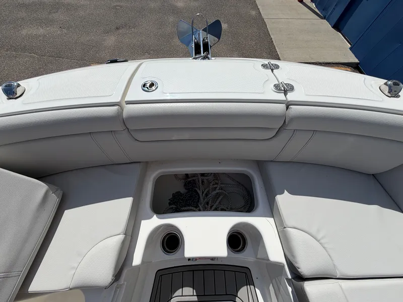 Slide: The Image of Sea Ray SDX 290 2025 - 53