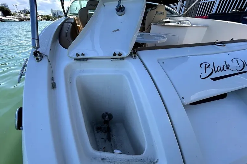 Slide: The Image of 2007 Sea Ray 260 Sundeck boat with open storage compartment near water. - 29