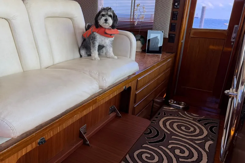 Slide: The Image of Dog in life jacket on 1986 Hatteras 63 Cockpit Motor Yacht interior. - 22