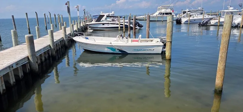 The Image of A 1999 Aquasport 200 Osprey is docked in a calm harbor. - 0