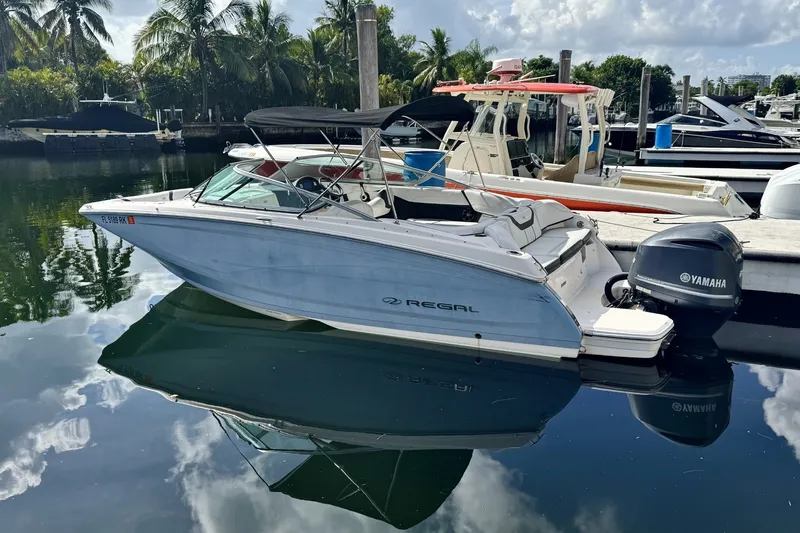 The Image of 2018 Regal 23 OBX boat docked, featuring Yamaha outboard motor, surrounded by palm trees. - 0