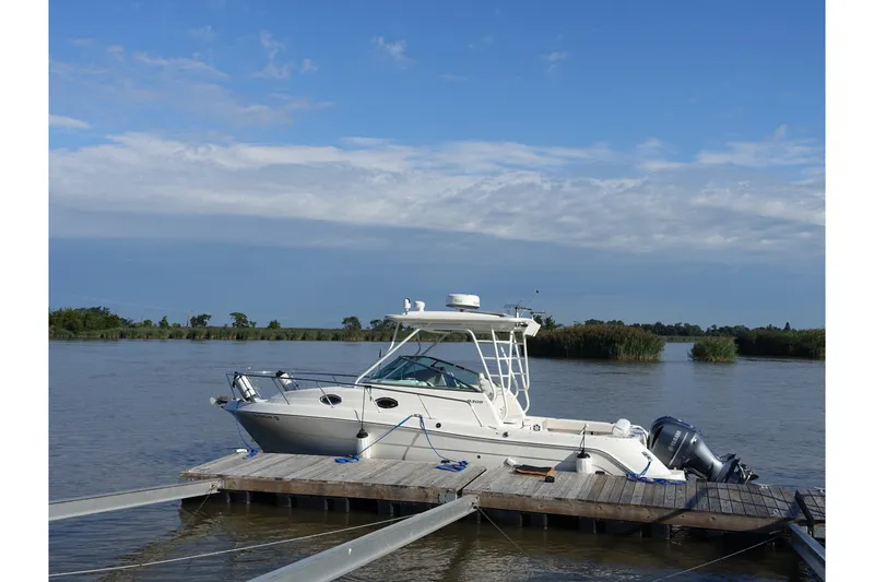 Slide: The Image of Ein Robalo R305 Walkaround von 2017 liegt an einem Holzsteg in ruhigem Wasser. - 29