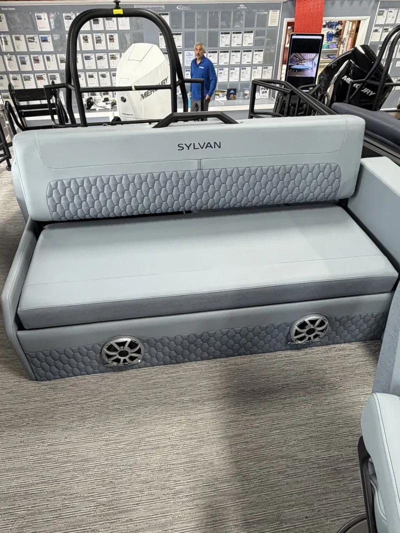 Slide: The Image of Sylvan G3 ULZ DC Platinum 2027 - 9