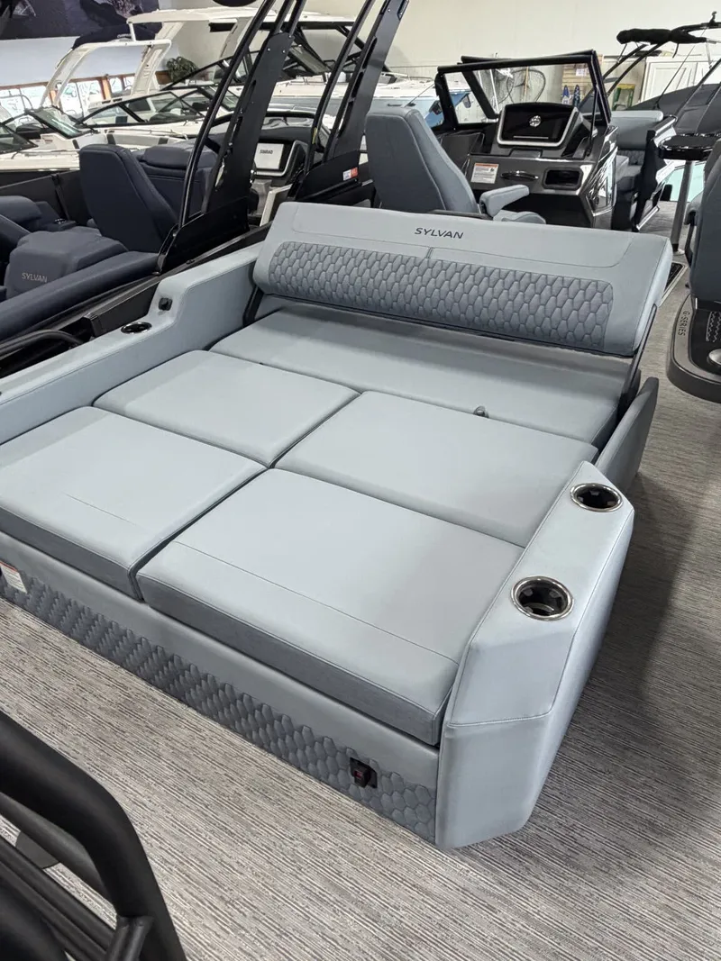 Slide: The Image of Sylvan G3 ULZ DC Platinum 2027 - 11