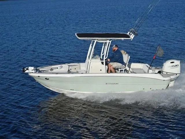 Slide: The Image of A modern 2027 Stingray 20 CC glides on calm water. A man is steering the boat. - 19