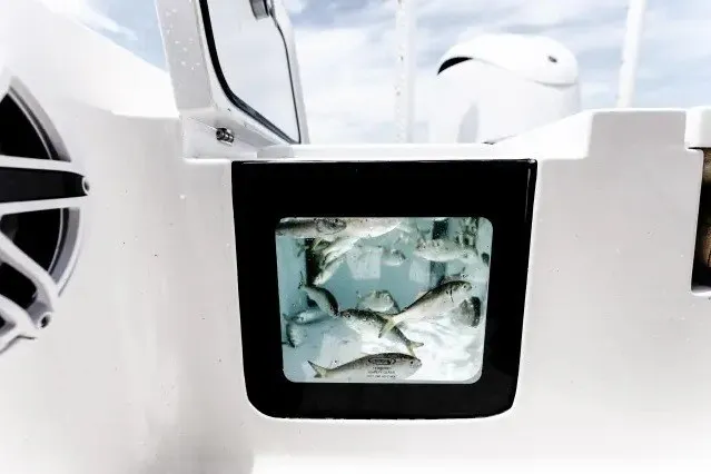 Slide: The Image of Livewell with fish on 2027 Sportsman Masters 247OE Bay Boat. - 7