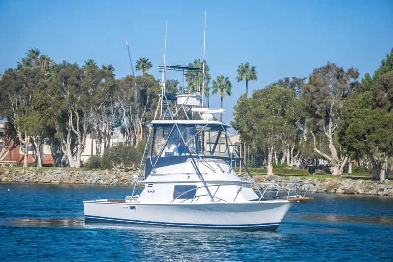 The Image of 1987 Blackfin 32 Flybridge boat cruising near a scenic shoreline with trees. - 0