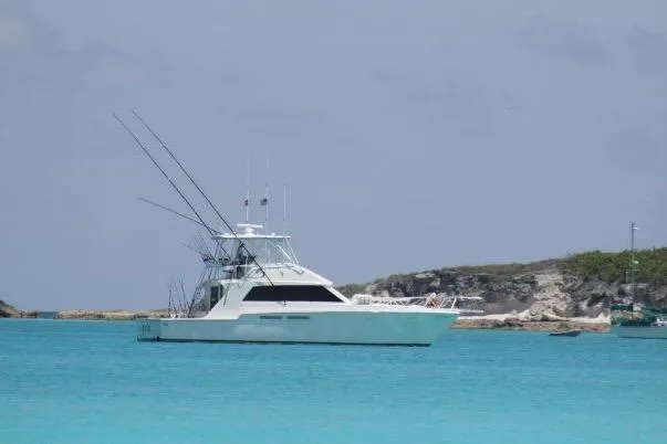 The Image of Bertram 54 Convertible 1984 - 0