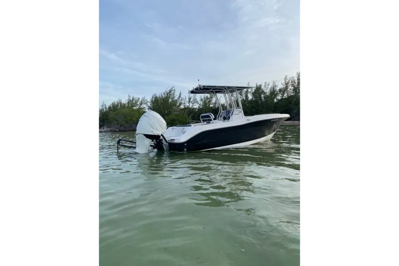 Slide: The Image of 2018 Robalo R202 Explorer boat on calm water near shoreline. - 2