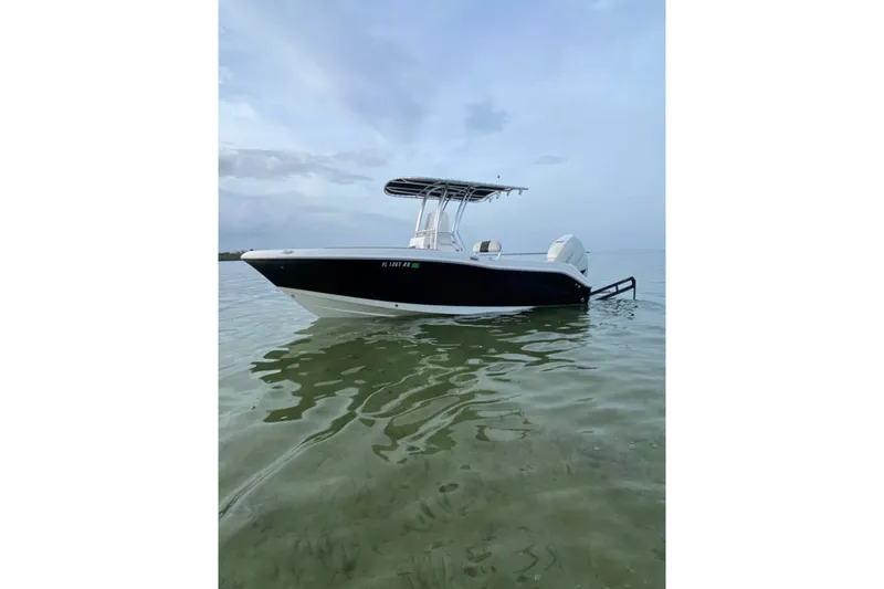 The Image of 2018 Robalo R202 Explorer boat on calm water under cloudy sky. - 0