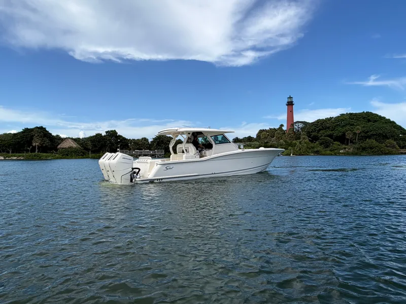 Slide: The Image of Scout 377 LXF 2025 - 8