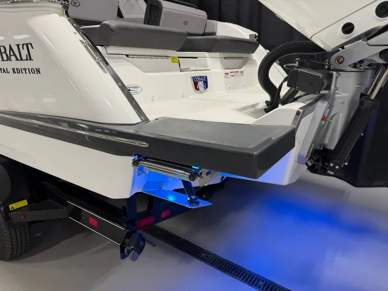 Slide: The Image of Cobalt R8 Outboard 2024 - 7