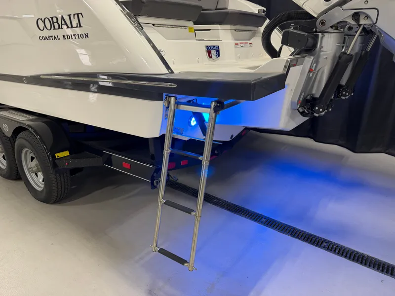Slide: The Image of Cobalt R8 Outboard 2024 - 8