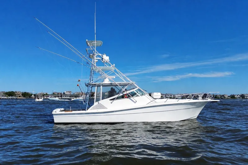 The Image of 2006 Topaz 40 Express boat on calm water under clear blue sky. - 0