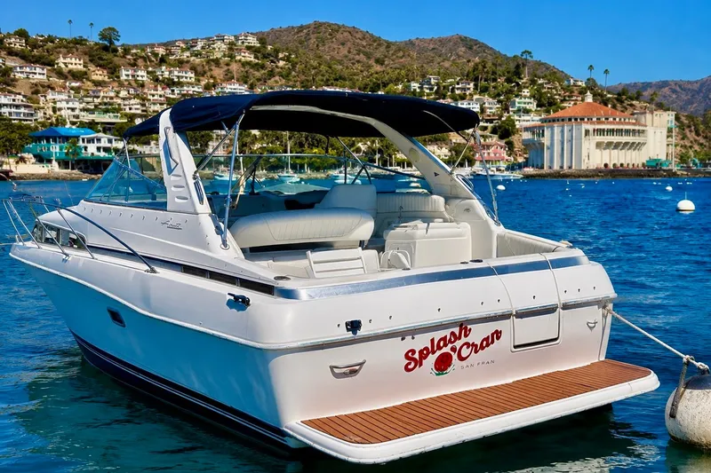 Slide: The Image of SPLASH O CRAN at Avalon - 3