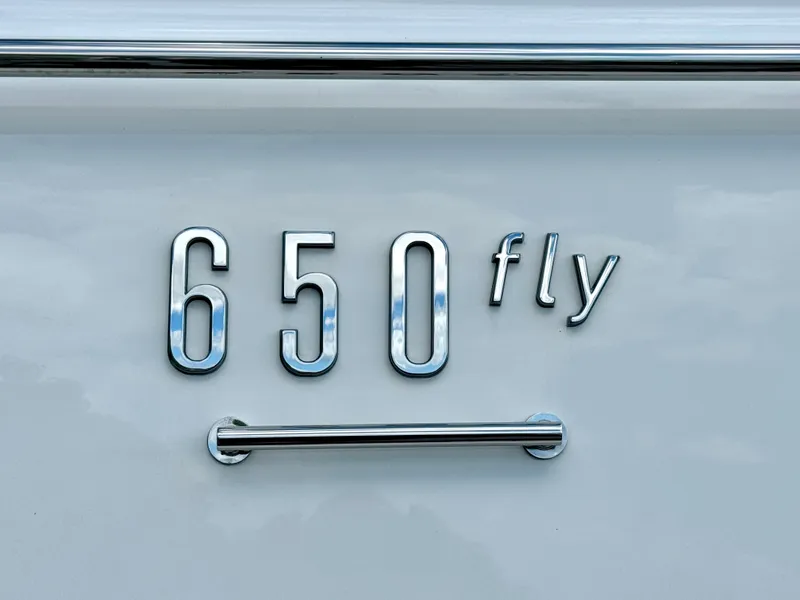 Slide: The Image of 650 Fly - 96
