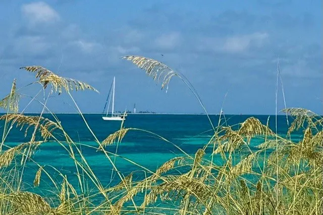Slide: The Image of Sailboat on turquoise sea with grass in foreground, under a clear blue sky. - 2