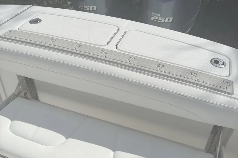 Slide: The Image of Regulator Marine 25 2021 - 17