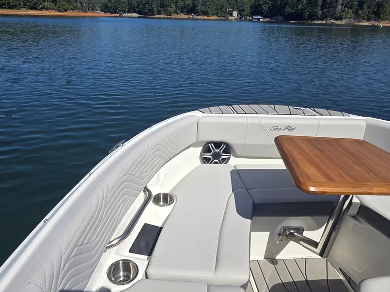Slide: The Image of Sea Ray SDX 250 Surf 2027 - 35