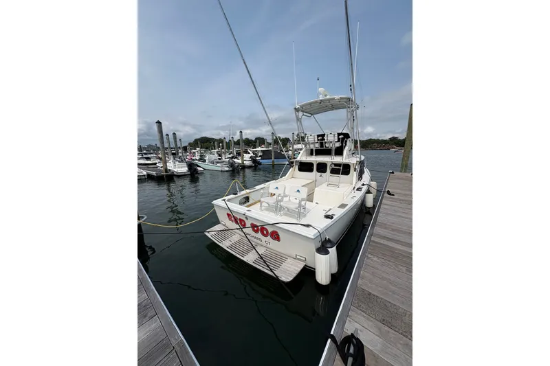 Slide: The Image of 1974 Bertram 31 Flybridge Cruiser docked at a marina, rear view. - 6