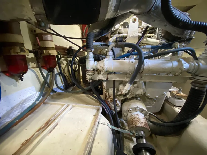 Slide: The Image of Mares 58 Power Cat 1995 - 80