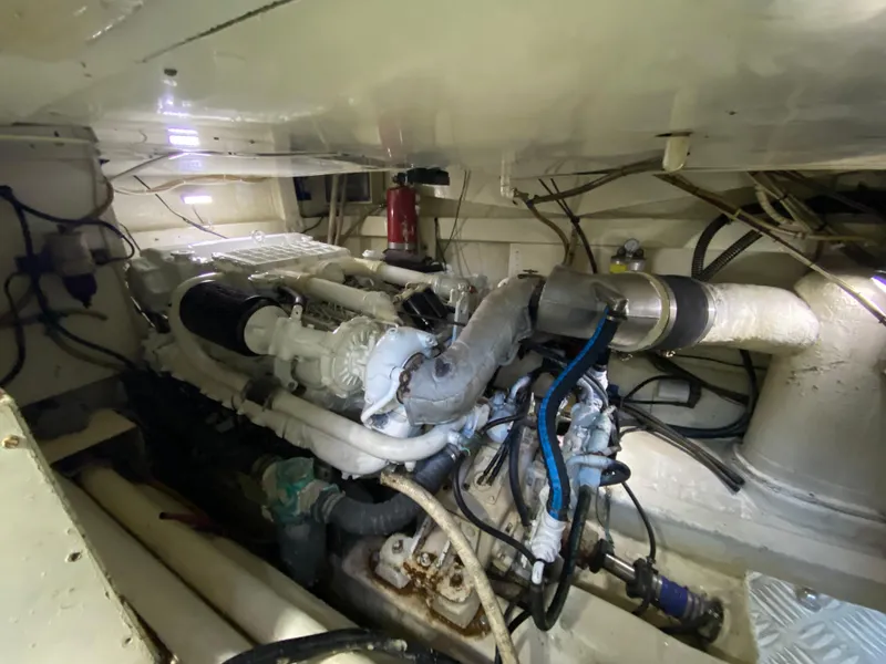 Slide: The Image of Mares 58 Power Cat 1995 - 84