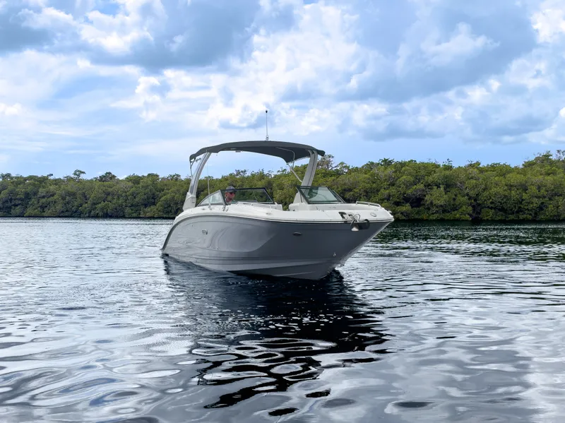 Slide: The Image of A 2027 Sea Ray SDX 290 Outboard on calm water, surrounded by green vegetation. - 22