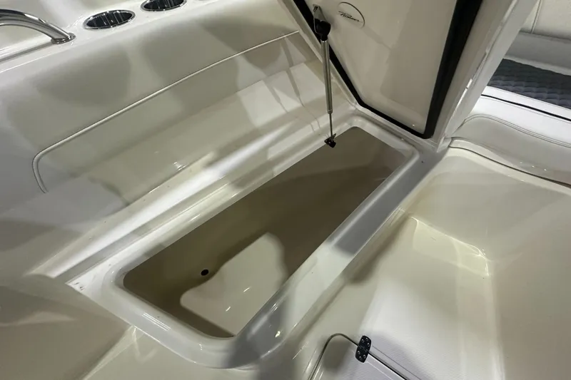 Slide: The Image of Open storage compartment in 2026 Pioneer 250 Pelagic boat interior. - 8