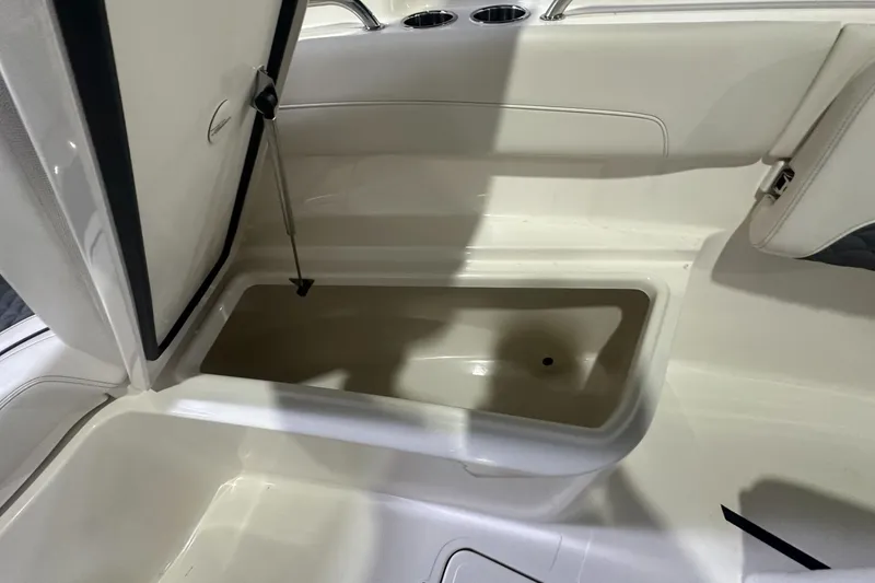 Slide: The Image of Open storage compartment on 2026 Pioneer 250 Pelagic boat, showcasing interior space. - 10