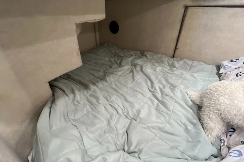Slide: The Image of Cozy sleeping area in a 2000 Bayliner 4087 Aft Cabin Motoryacht with plush bedding. - 30