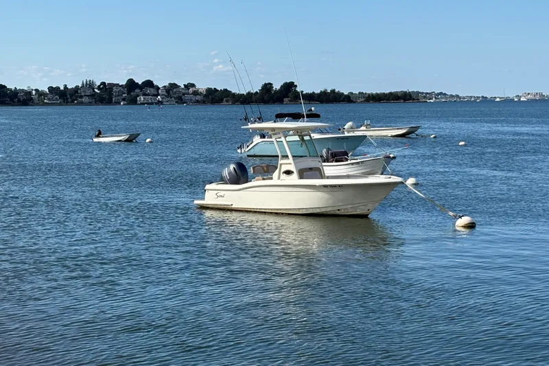 Slide: The Image of 2014 Scout 225 XSF boat anchored on calm water with scenic background. - 6
