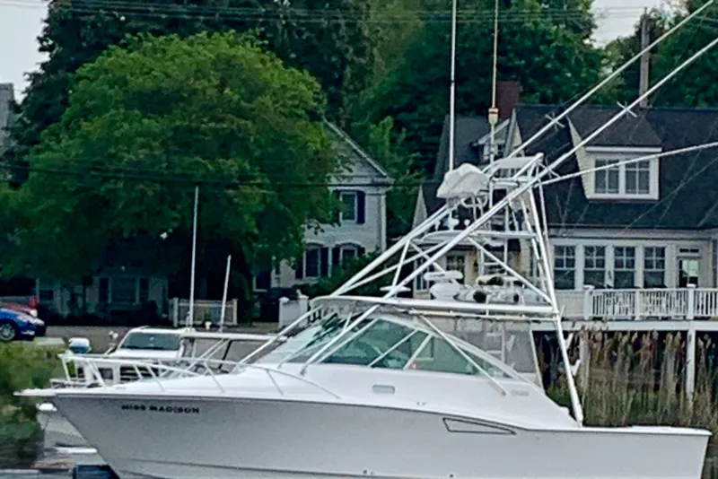 Slide: The Image of 2003 Cabo 35 Express boat docked near waterfront homes and lush greenery. - 2