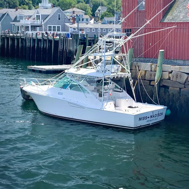 The Image of 2003 Cabo 35 Express boat docked near red building, coastal town backdrop. - 0