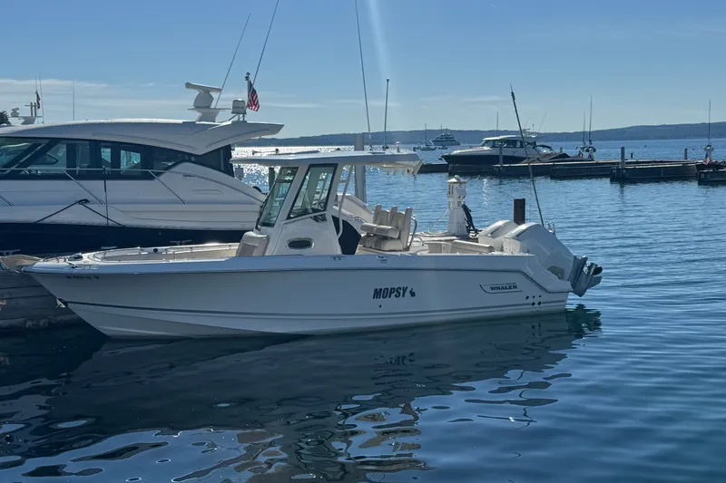 The Image of 2021 Boston Whaler 250 Outrage boat docked in a marina under clear skies. - 0
