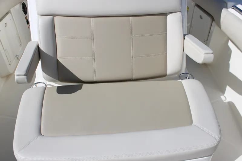 Slide: The Image of Boston Whaler 250 Outrage 2027 - 15
