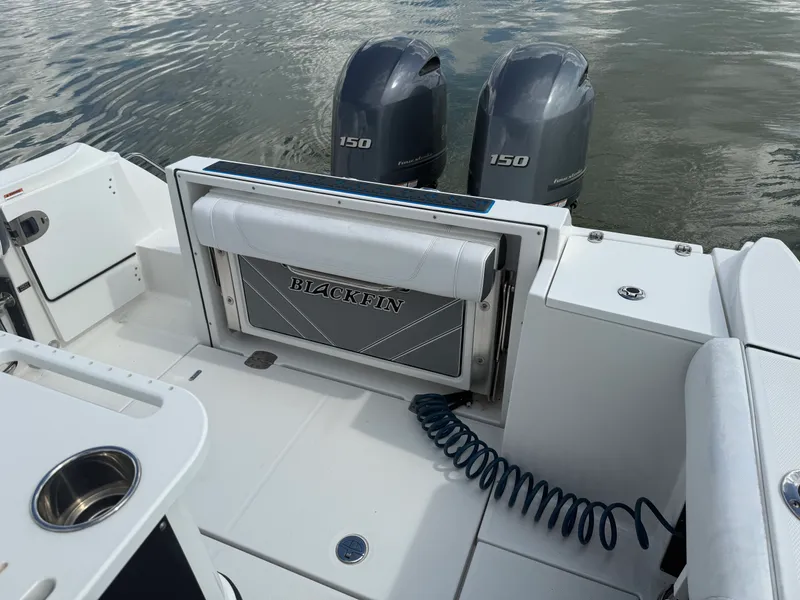 Slide: The Image of Blackfin 252 CC 2021 - 19