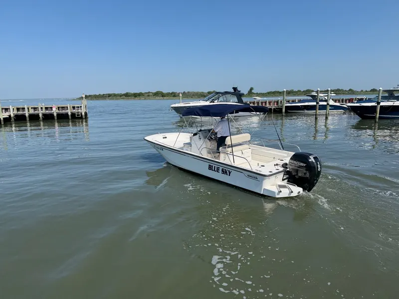 Slide: The Image of Boston Whaler 210 MONTAUK 2018 - 31