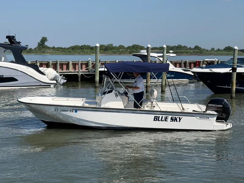 Slide: The Image of Boston Whaler 210 MONTAUK 2018 - 35