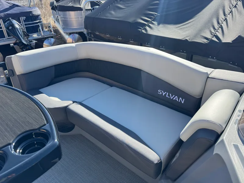 Slide: The Image of Sylvan R-20 PARTY FISH 2026 - 4