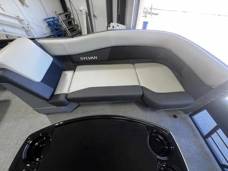 Slide: The Image of Sylvan R-20 PARTY FISH 2026 - 18