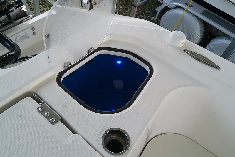 Slide: The Image of Livewell on a 2022 Sea Cat 260 boat, featuring a blue interior and open lid. - 48
