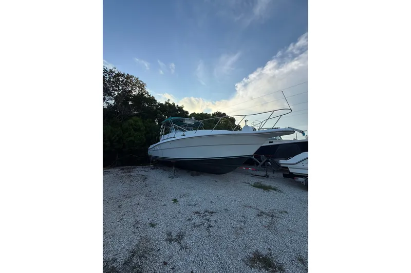 The Image of 1997 Stamas 360 Express boat on gravel, surrounded by trees and sky. - 1