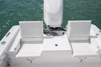 Slide: The Image of Manufacturer Provided Image: 2020 Everglades 253 Center Console boat with twin seats and outboard motor. - 12