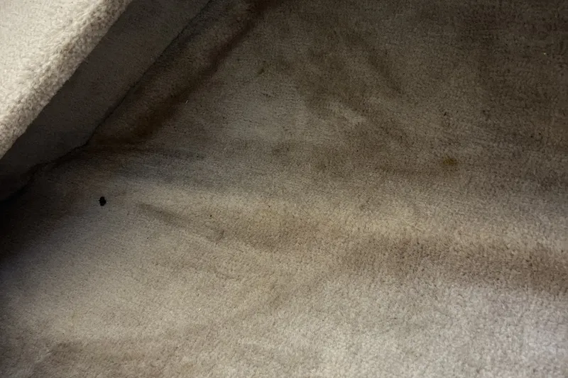 Slide: The Image of Interior carpet of a 1997 Sea Ray 240 Overnighter boat, showing wear and stains. - 49