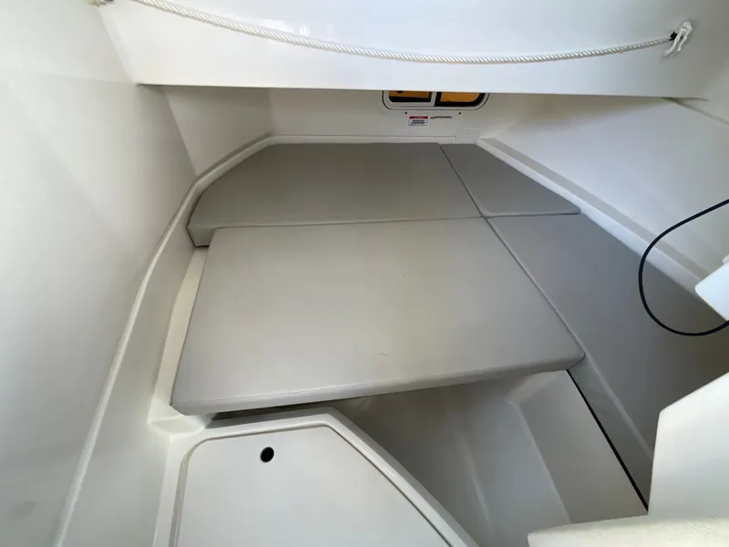 Slide: The Image of Interior of the 2021 Sea Ray SDX 250 Outboard with gray cushions. - 4