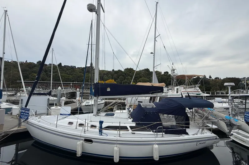 The Image of 2007 Catalina 34 MkII sailboat docked at marina, featuring blue covers and sleek design. - 0