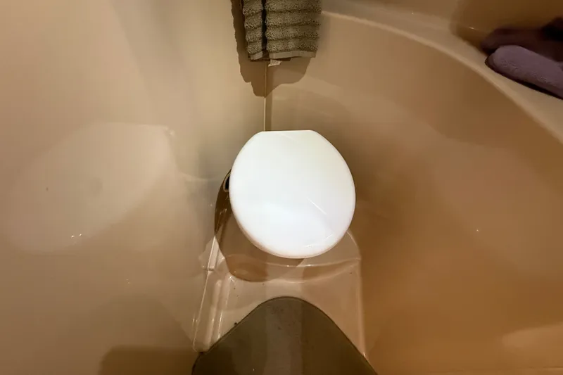 Slide: The Image of 1999 Cruisers Yachts 3075 Rogue bathroom with compact toilet and towel. - 51