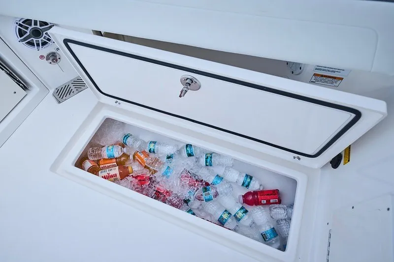 Slide: The Image of Built-in cooler with drinks and ice on a 2027 Cobia 250 Dual Console boat. - 19